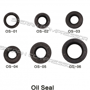 Oil Seal