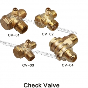 Check Valve