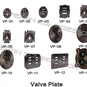 Valve Plate